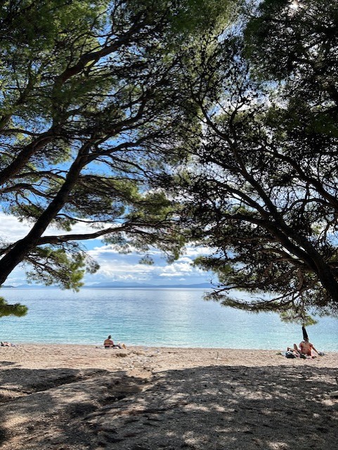 Stranden vid vrt hotell i Kroatien